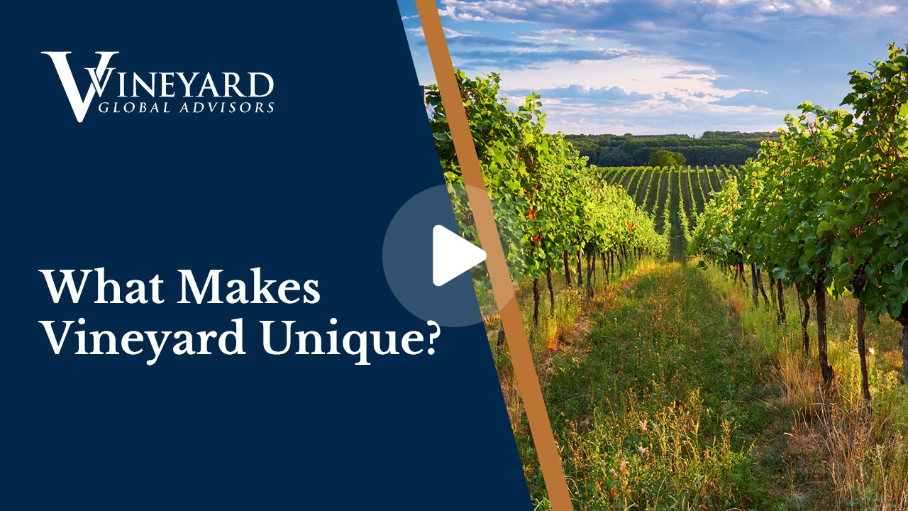 What Makes Vineyard Unique?
